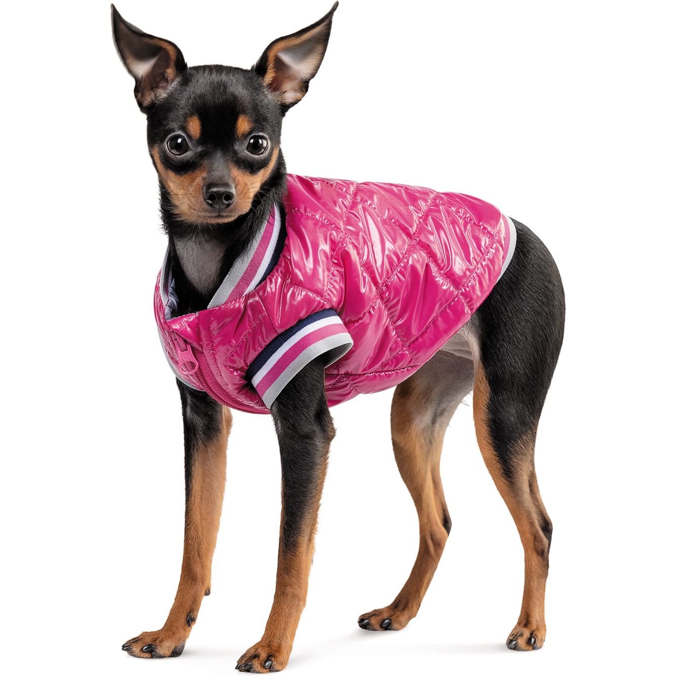 Бомбер Pet Fashion Grace XS2 рожевий - фото 2