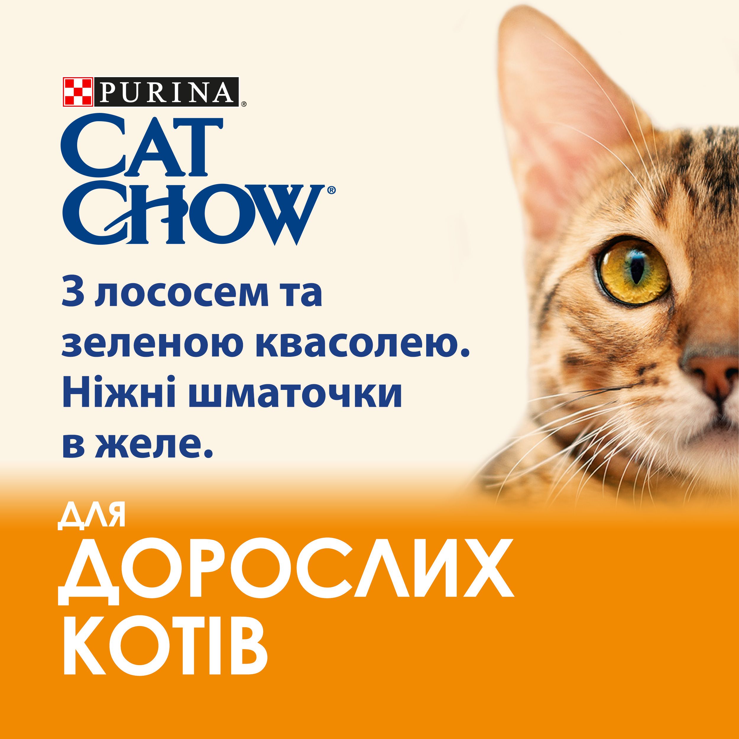 Вологий корм для котів Cat Chow Adult, ніжні шматочки в желе, з лососем та зеленою квасолею, 85 г - фото 4