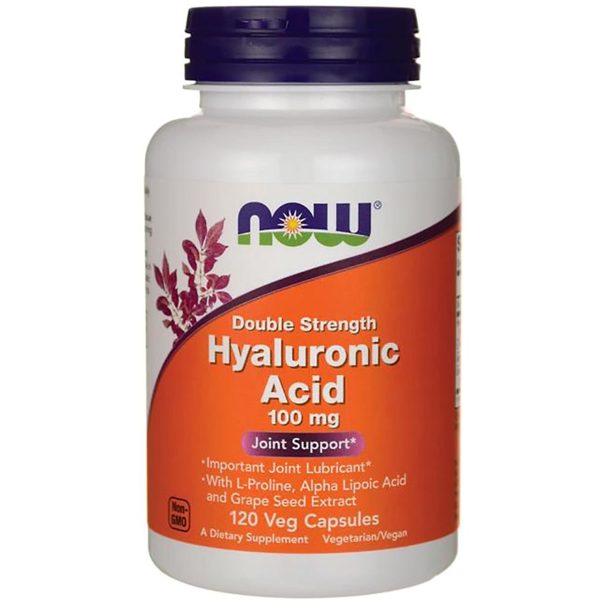 Гіалуронова кислота Now Foods Hyaluronic Acid 100 мг 120 капсул - фото 1