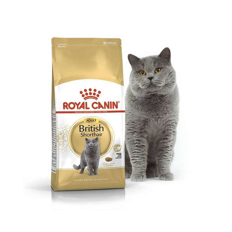 Сухий корм для британських короткошерстих дорослих котів Royal Canin British Shorthair Adult, з м'ясом птиці, 2 кг - фото 1