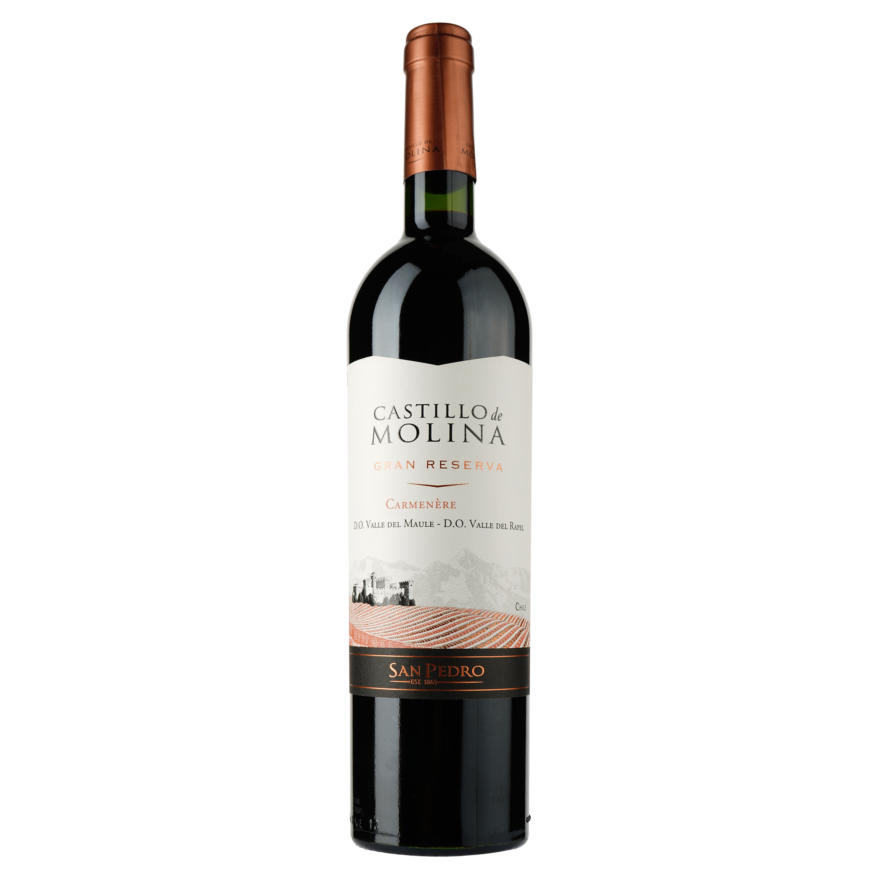 Вино Castillo de Molina Carmenere, красное, сухое, 11,5-14%, 0,75 л - фото 1