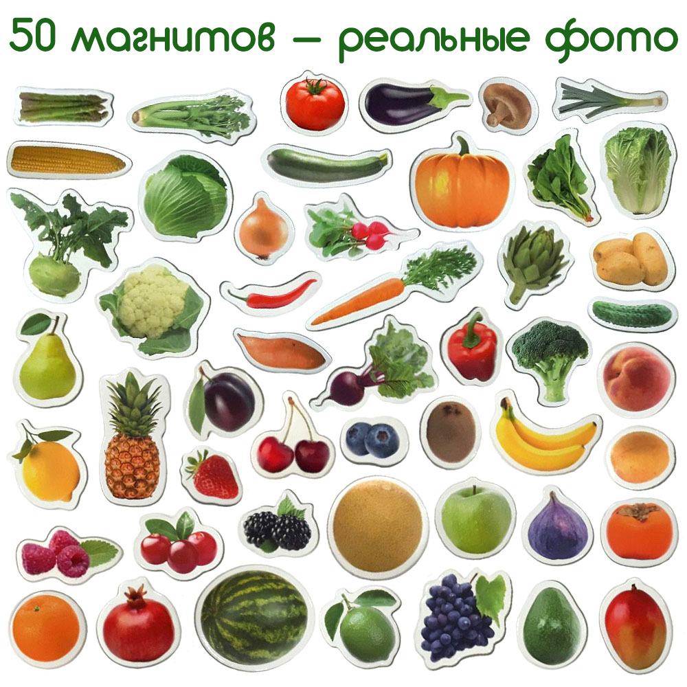 Магнитный набор Magdum Фрукты и овощи (ML4031-15 EN) - фото 2