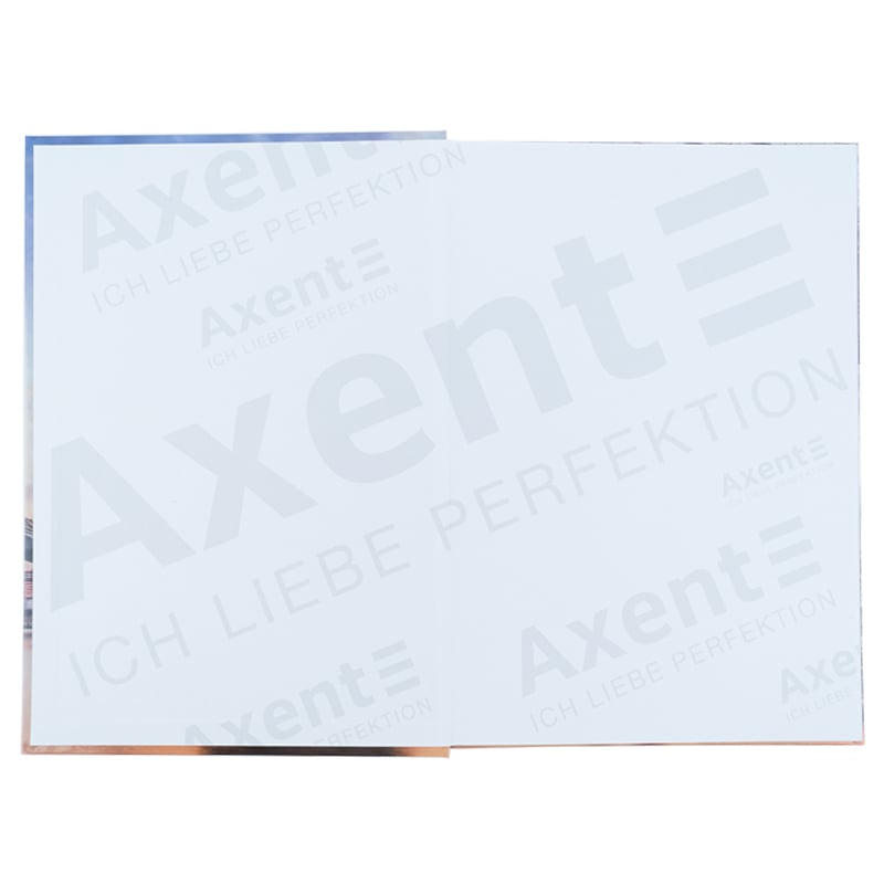 Книга записна Axent Power A4 в клітинку 96 аркушів (8422-567-A) - фото 2