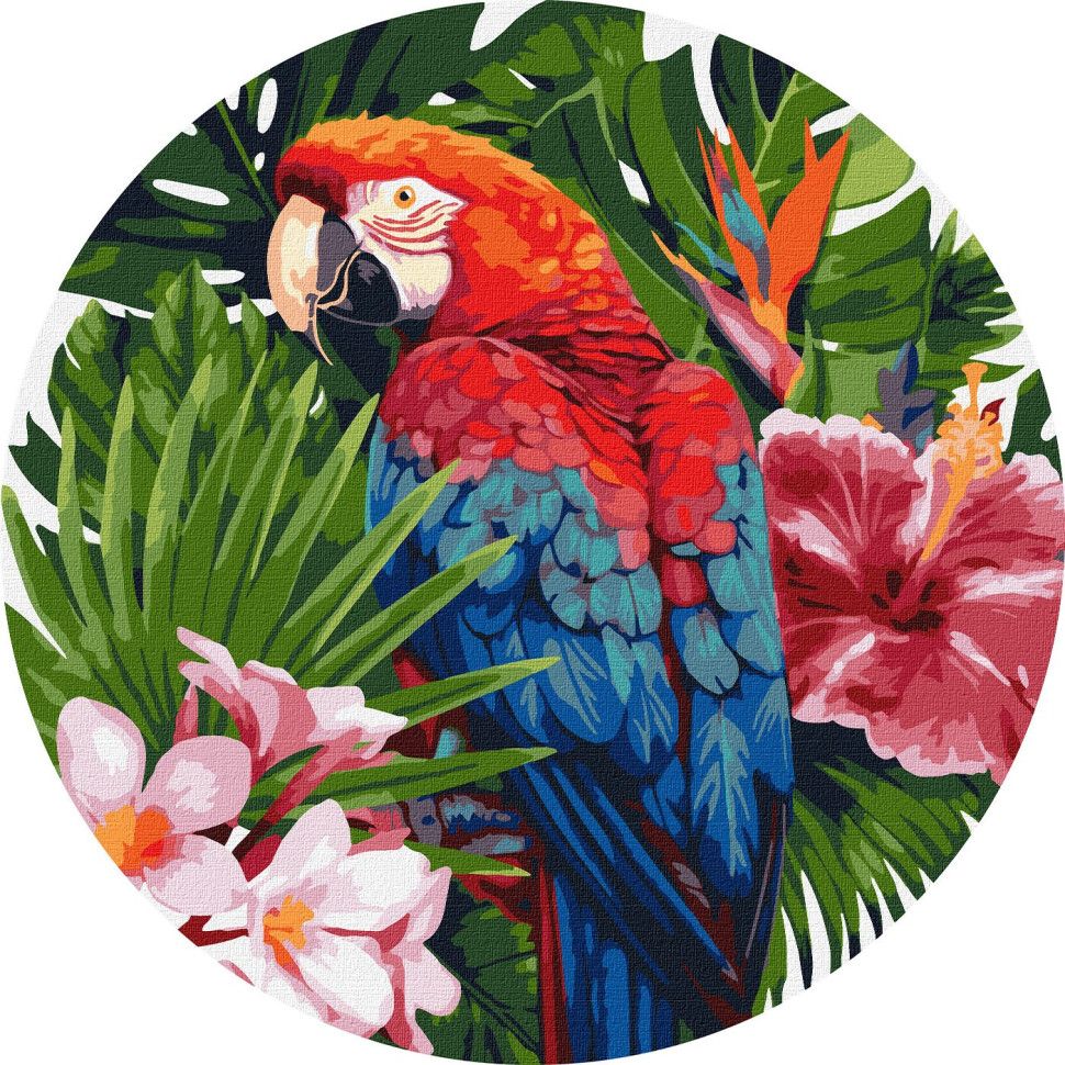 Картина по номерам Яркий попугай Ideyka 39х39 см разноцветная 000260678 - фото 1