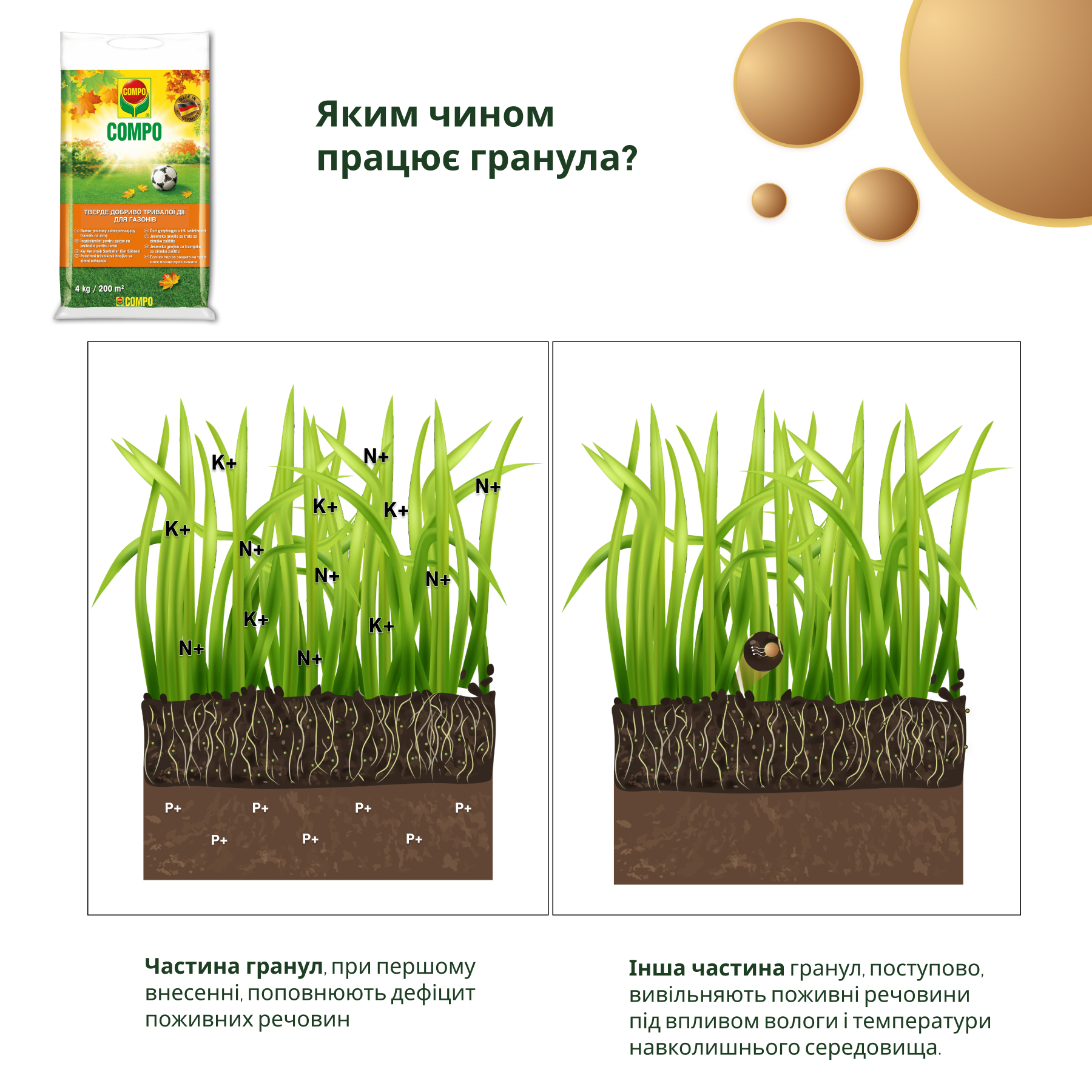 Твердое удобрение длительного действия Compo для газонов (осень) 4 кг (3170) - фото 4