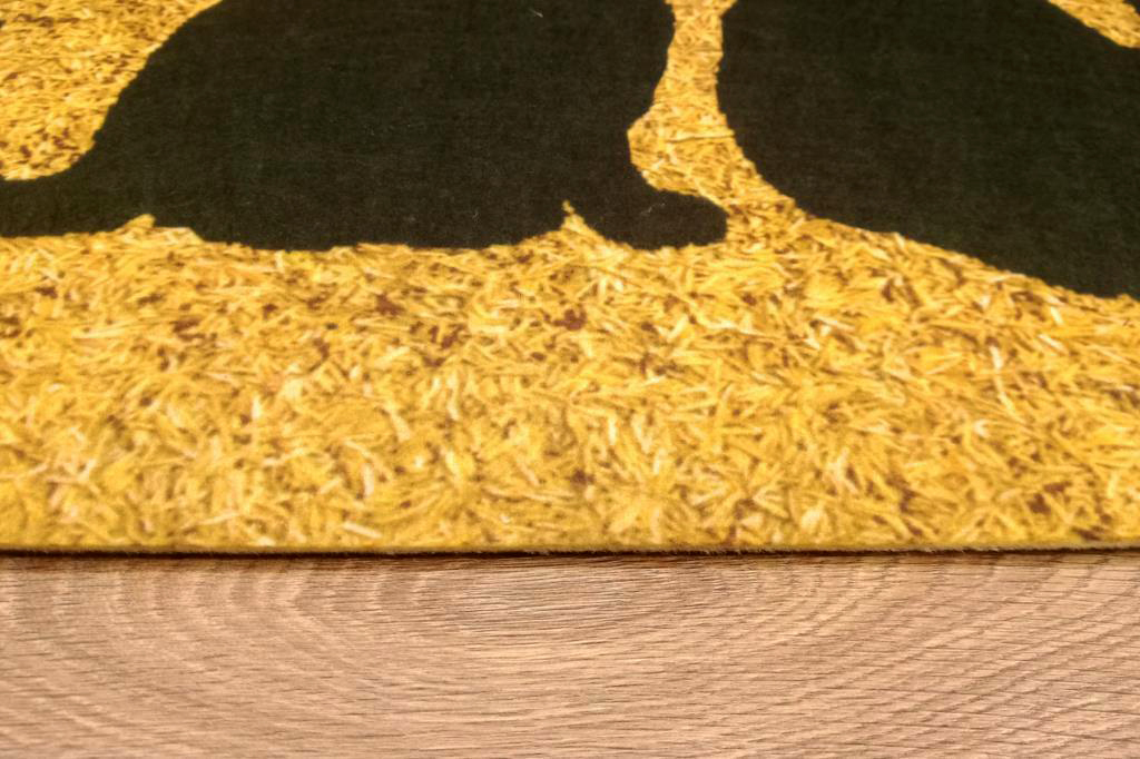 Придверный коврик IzziHome Peppina Kapi Uc Kedi, 60х40 см, оранжевый (2200000553584) - фото 2