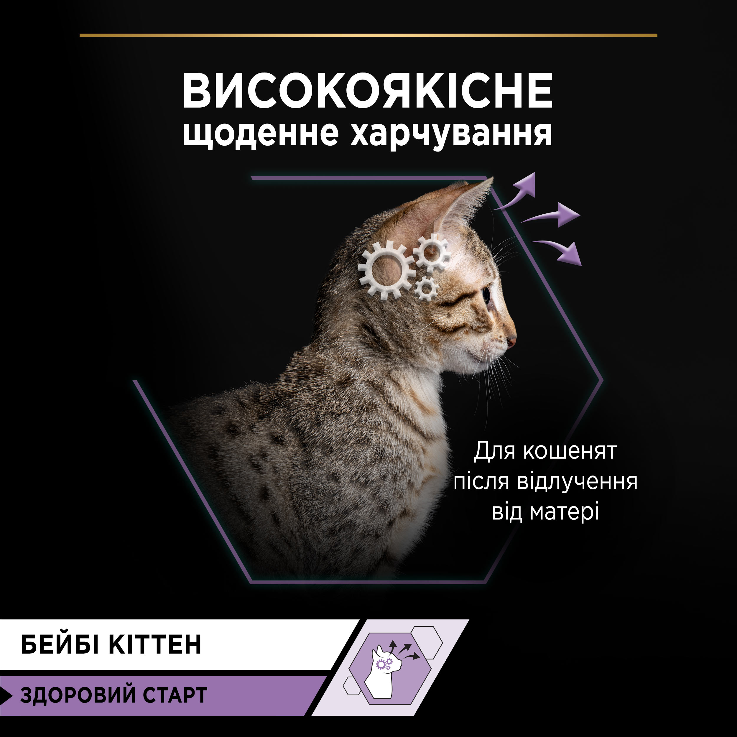 Вологий корм Purina Pro Plan Kitten Healthy Start для кошенят після відлучення від матері мус з куркою 85 г (12459008) - фото 5