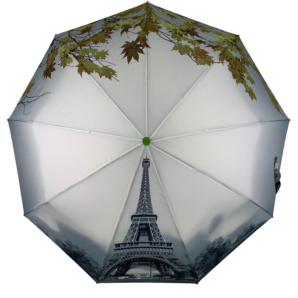Женский складной зонтик полуавтомат The Best 98 см зеленый - фото 1