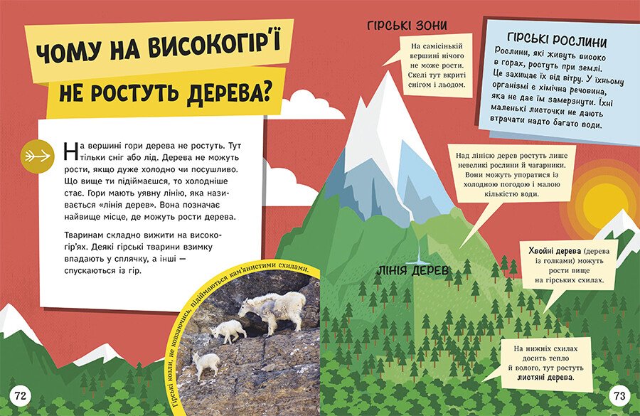 Енциклопедія юних розумників Ранок Допитливим сюди. ДОВКОЛАПИТАНЬ - Ненсі Дікман (НЕ1745007У) - фото 8