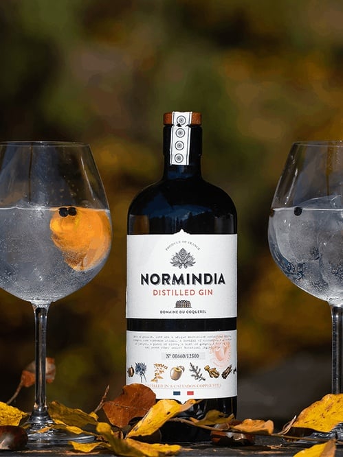 Джин Normindia Distilled Gin 41.4% 0.7 л - фото 2