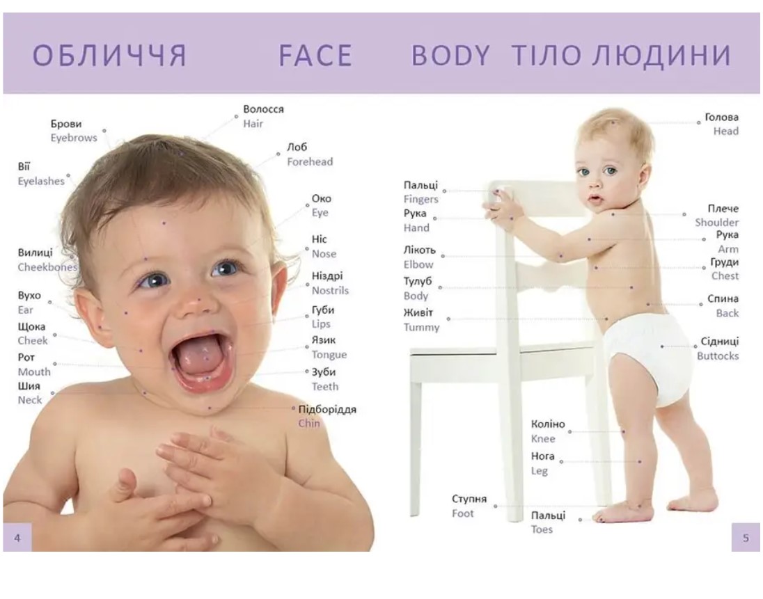 Перша книга малюка Baby's first book - Гуменна Л.М. укладач (9789669353108) - фото 4