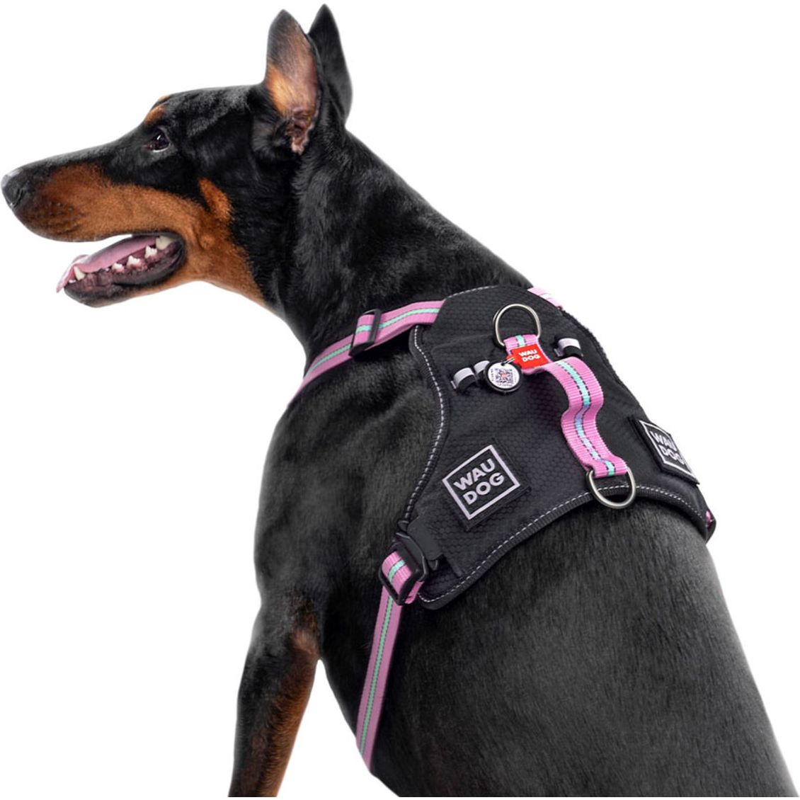 Шлея для собак Waudog Nylon з QR паспортом, безпечна, металічна пряжка-фастекс, XL, 60-95х2,5 см, рожевий - фото 4