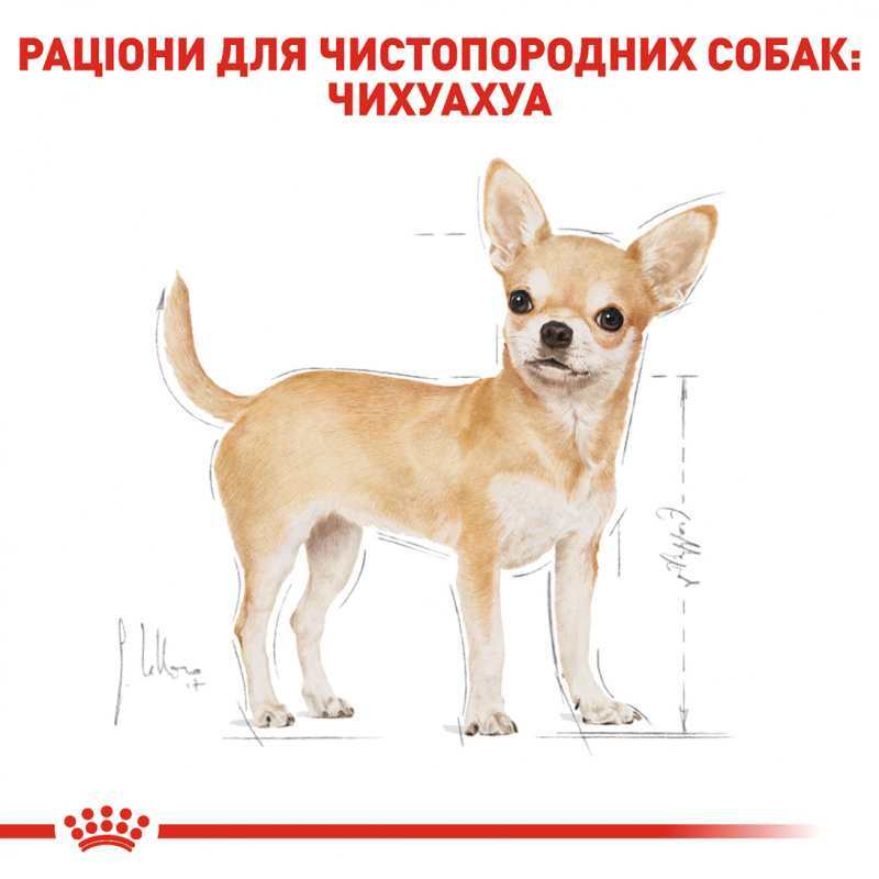 Вологий корм Royal Canin Chihuahua Adult для собак породи Чихуахуа, 85 г (2041001) - фото 2