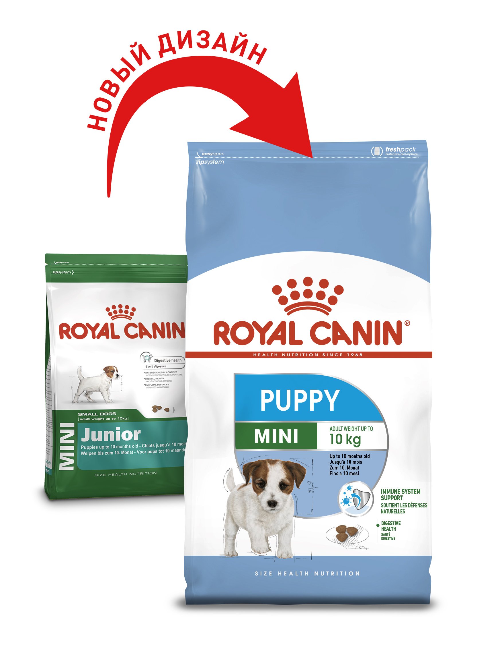 Сухой корм Royal Canin Mini Puppy для щенков мелких пород, с мясом птицы и рисом, 0,8 кг - фото 2