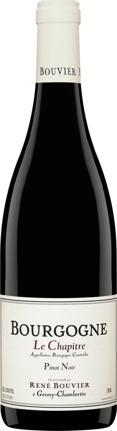 Вино Rene Bouvier Bourgogne The Next Chapter Rg, 12,5%, 750 мл (804550) - фото 1