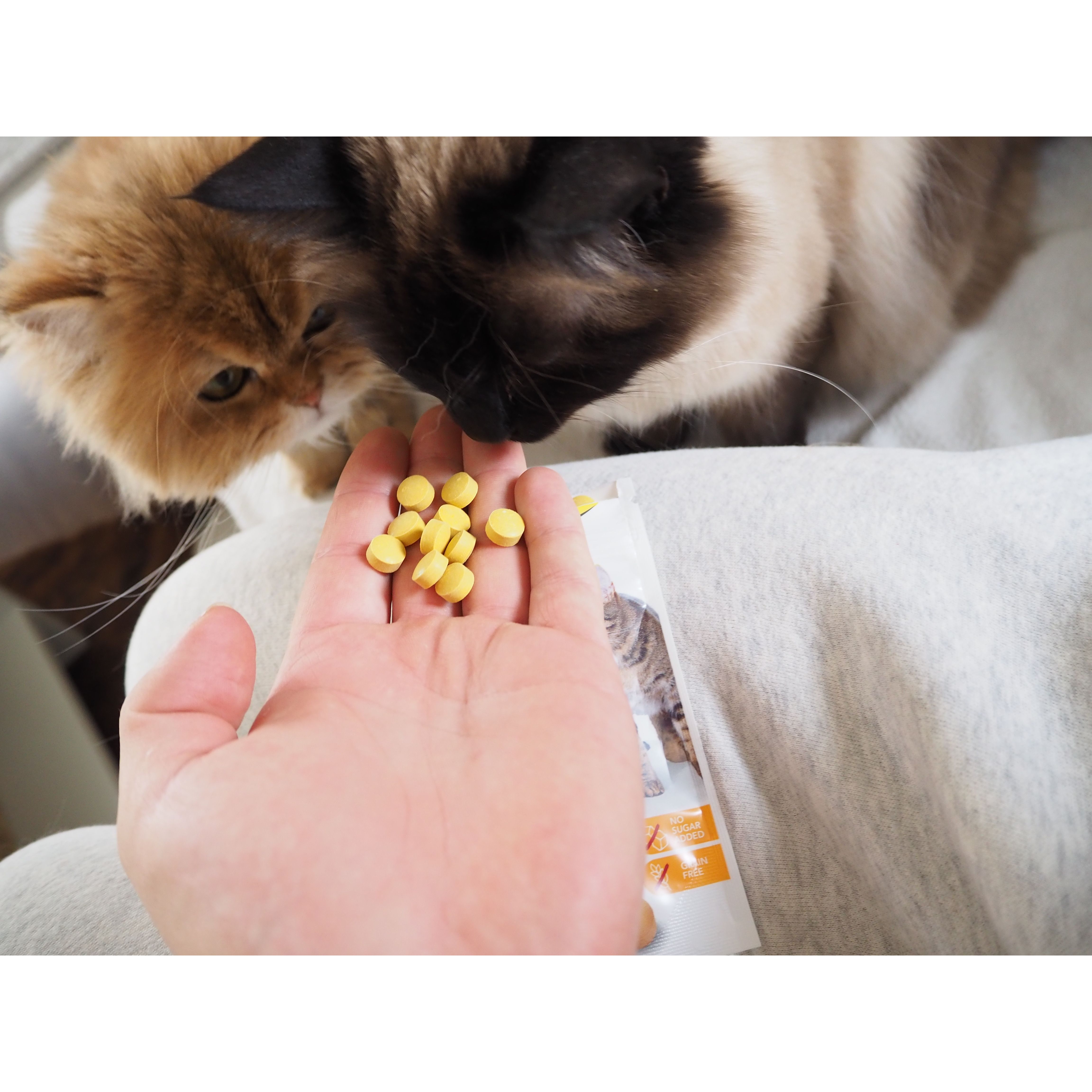 Ласощі для котів GimCat Kase Rollis вітамінізовані сирні кульки 425 г (G-419510) - фото 2