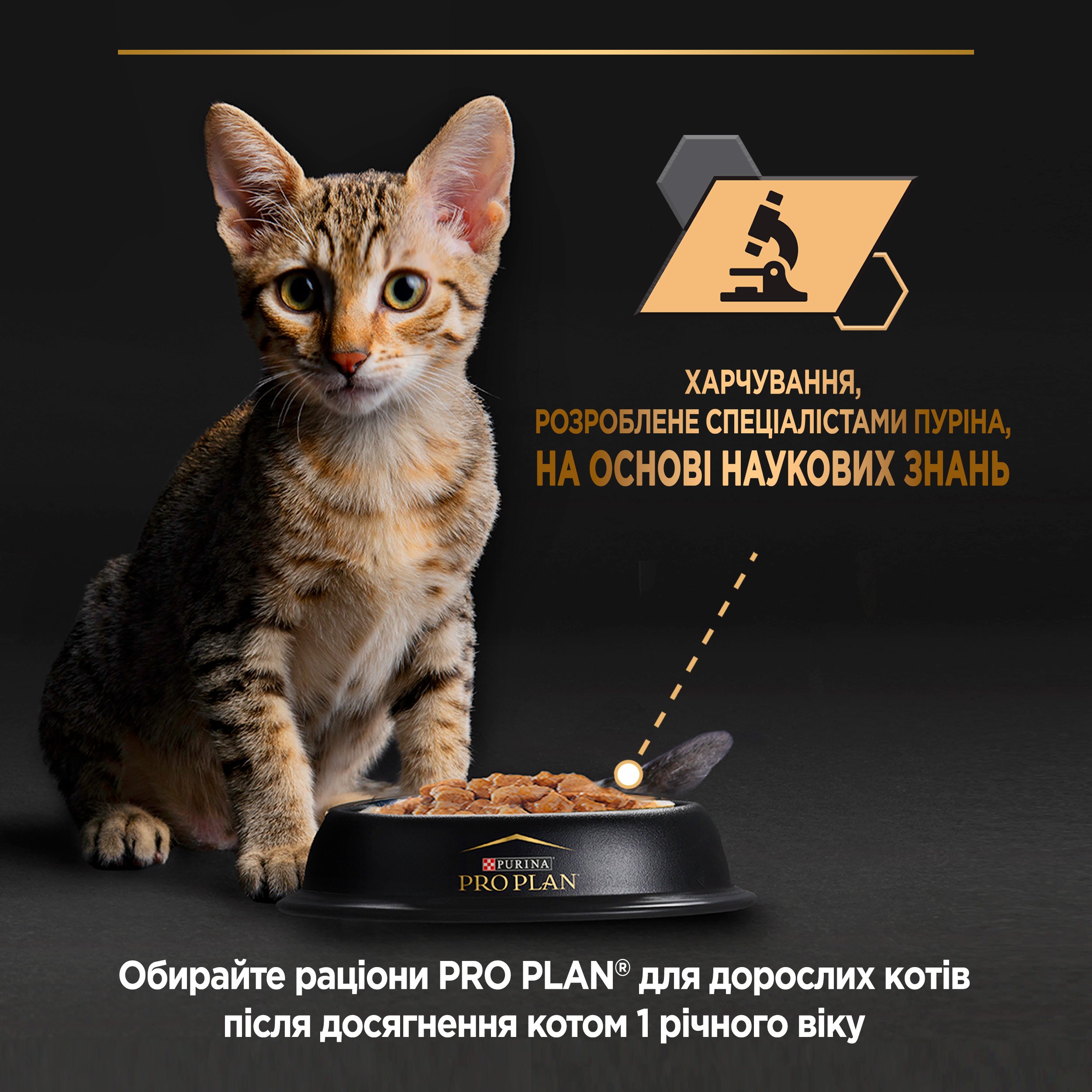 Вологий корм Purina Pro Plan Kitten Healthy Start для кошенят мус з куркою 85 г (12458617) - фото 8