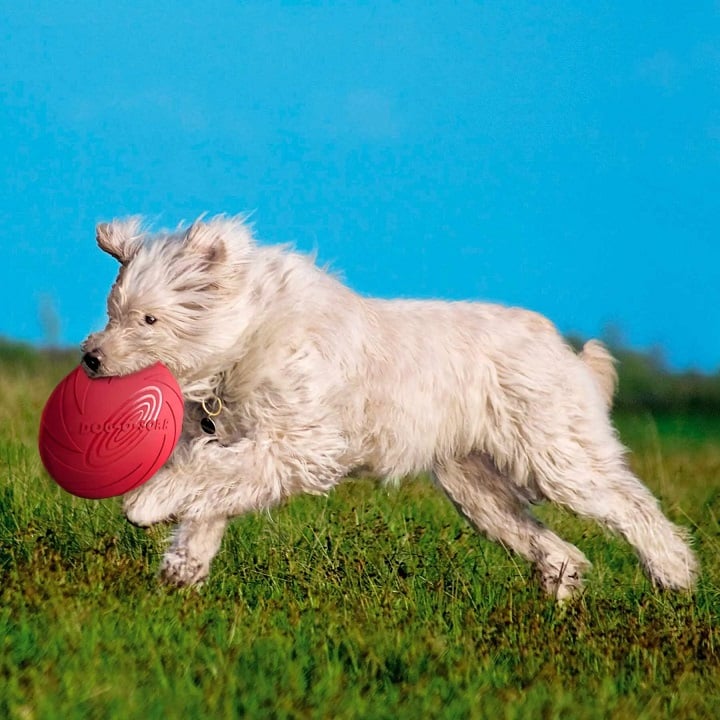 Іграшка для собак Trixie Літаюча тарілка, 22 см, в асортименті (33502) - фото 4