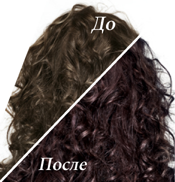 Краска-уход для волос без аммиака L'Oreal Paris Casting Creme Gloss, тон 4102 (Холодный каштан), 120 мл (AA008300) - фото 3