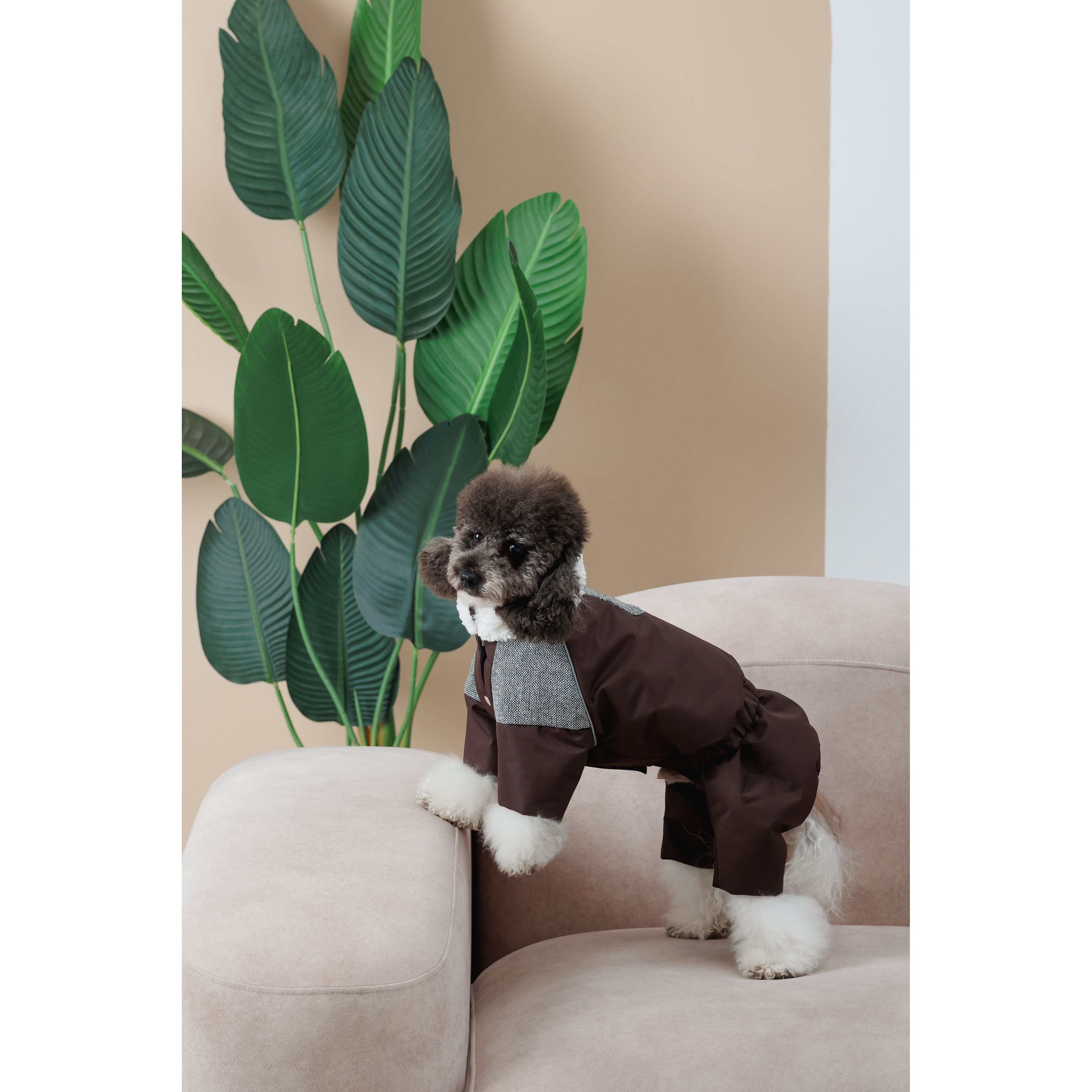 Костюм для собак Pet Fashion Locky ХХS коричневый - фото 4