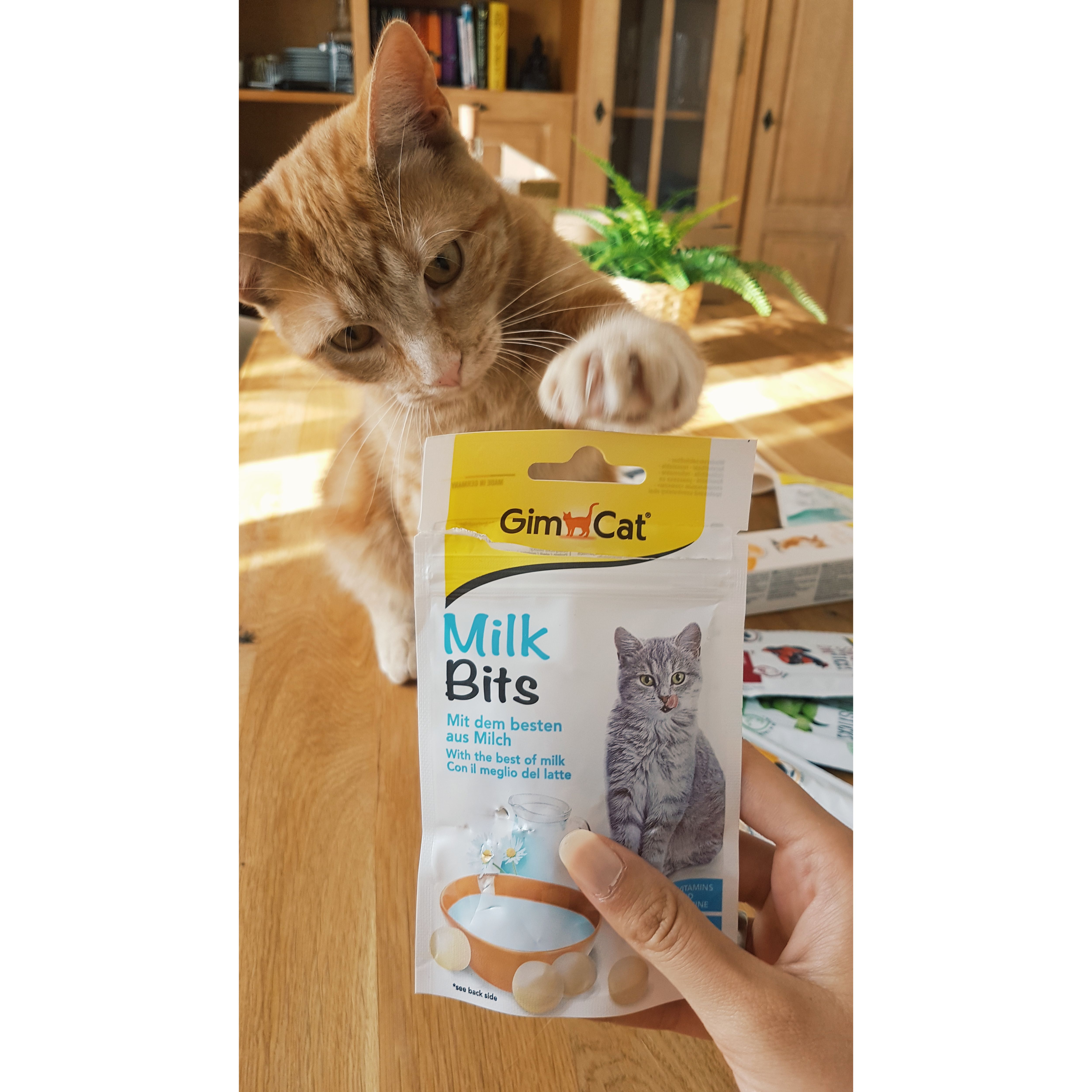 Лакомство для кошек GimCat Milk Bits витаминизированное с молоком 40 г (G-418735) - фото 2