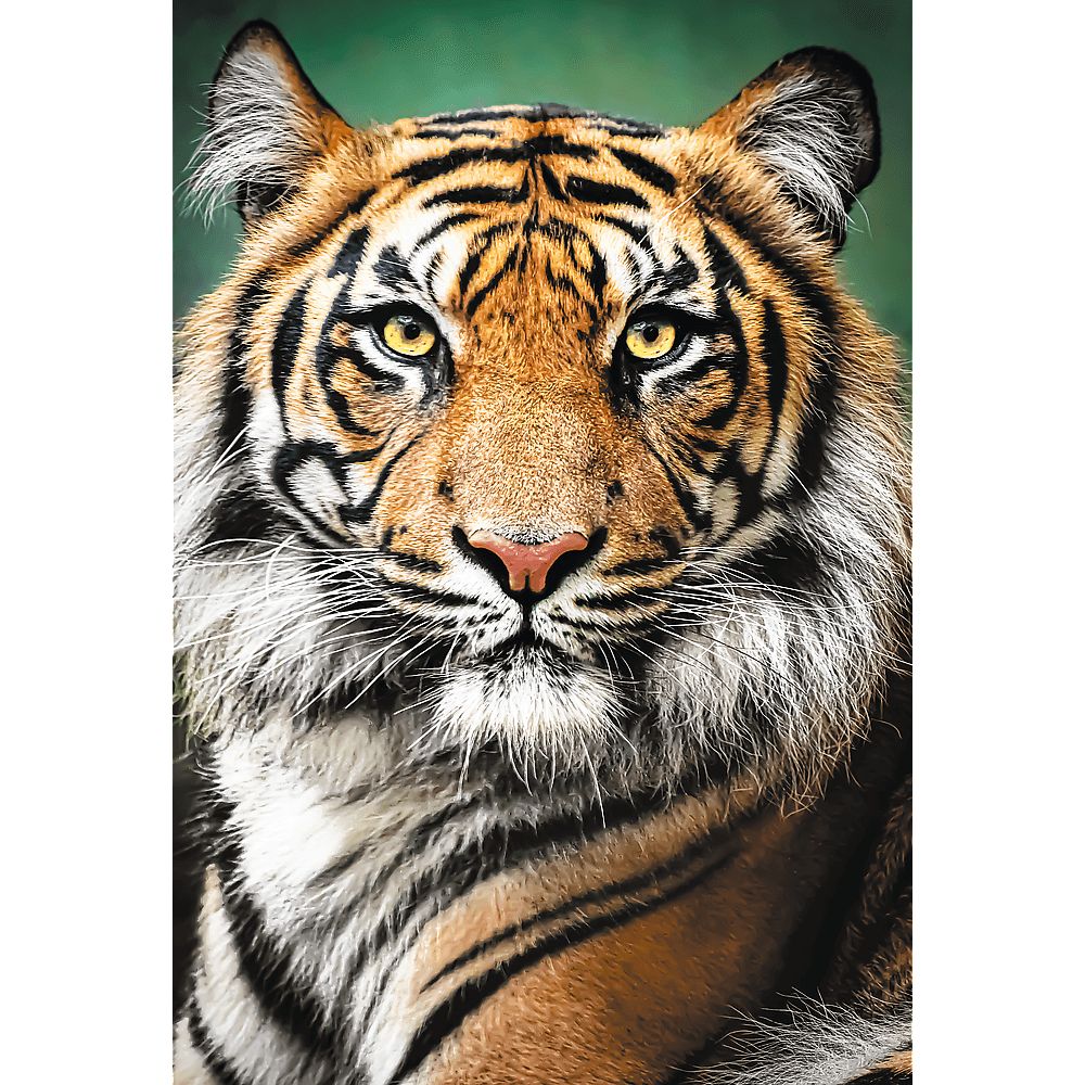 Пазли Trefl Портрет Тигра 1500 елементів - фото 2