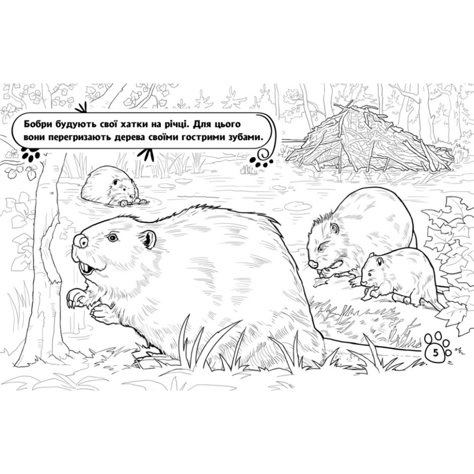 Раскраска детская Видавництво Ранок Животные в лесу 16 страниц (583012) - фото 2