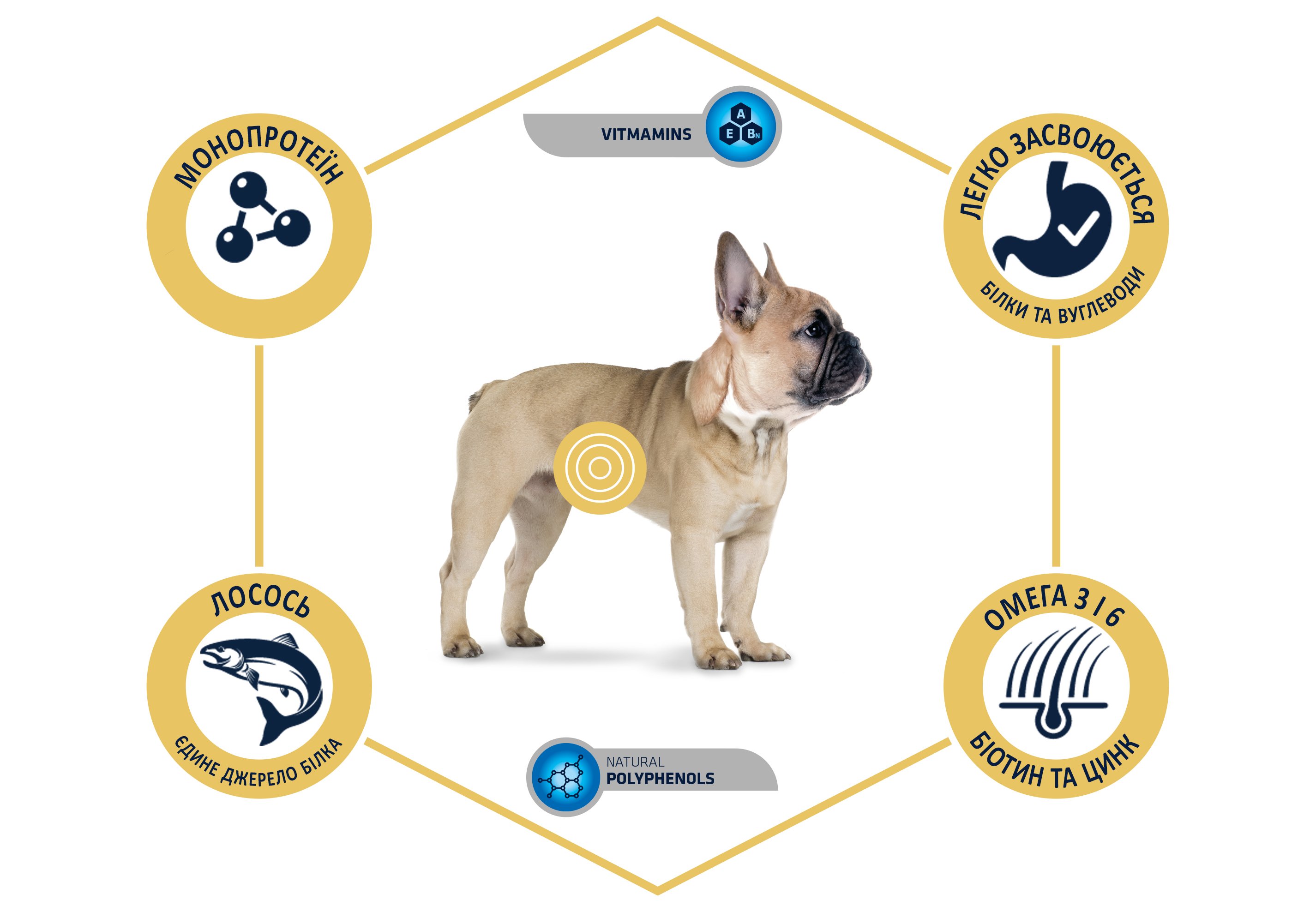Сухий корм для дорослих собак маленьких порід з чутливим травленням Advance Dog Mini Sensitive, з лососем і рисом, 3 кг - фото 7