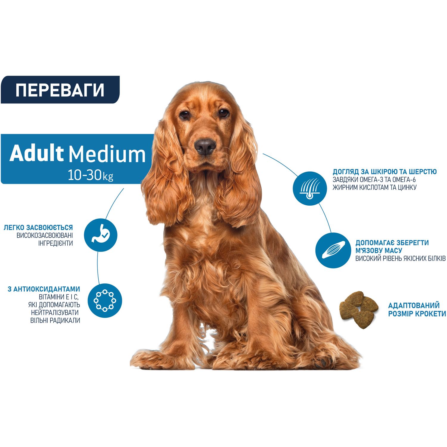 Сухой корм для собак средних пород Advance Dog Medium Adult с курицей и рисом 10 кг - фото 3