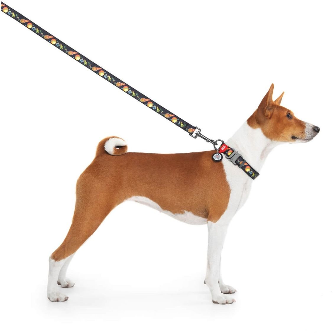 Нашийник для собак Waudog Nylon Рік та Морті 3, c QR паспортом, металева пряжка-фастекс, XL, 35-58х2,5 см - фото 4