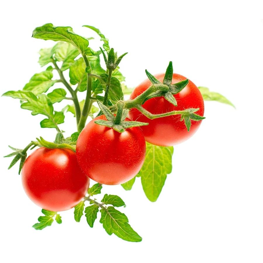 Сменный картридж Click & Grow Smart Garden Мини-томаты, 3 капсулы (7304) - фото 2