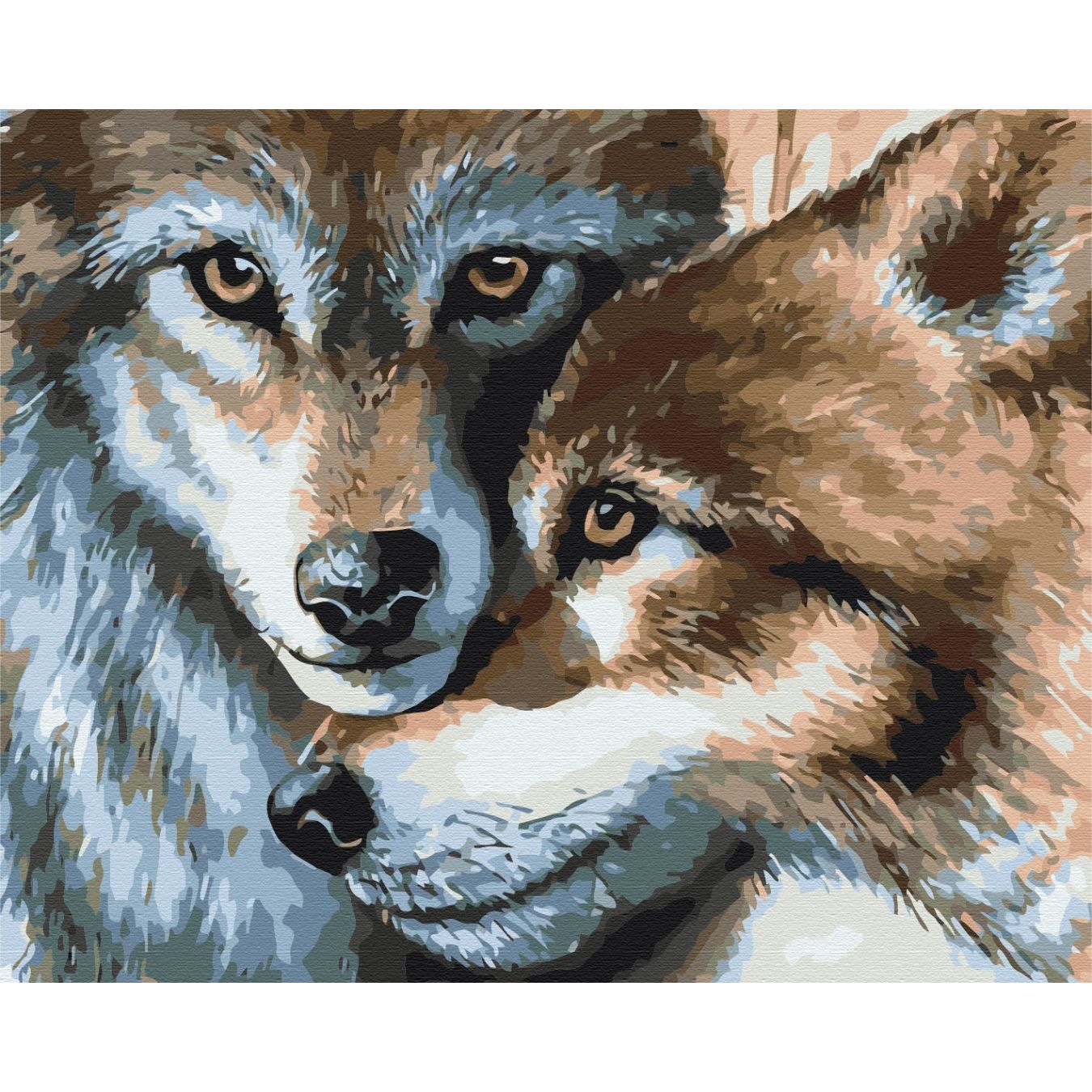 Картина по номерам Волчья пара Brushme 40x50 см разноцветная 000221373 - фото 1