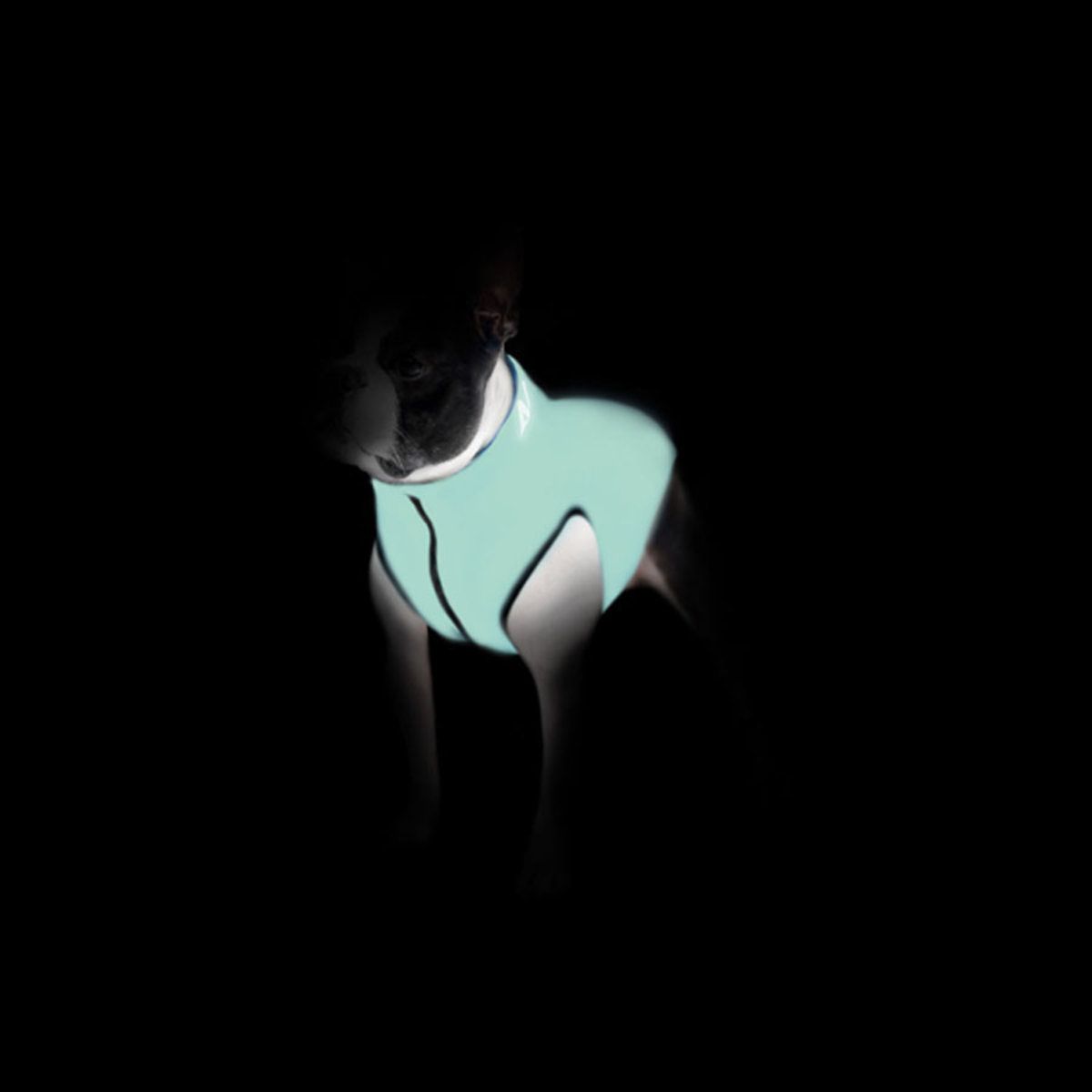 Курточка для собак AiryVest Lumi двостороння, світиться в темряві, M40, салатово-голуба - фото 2