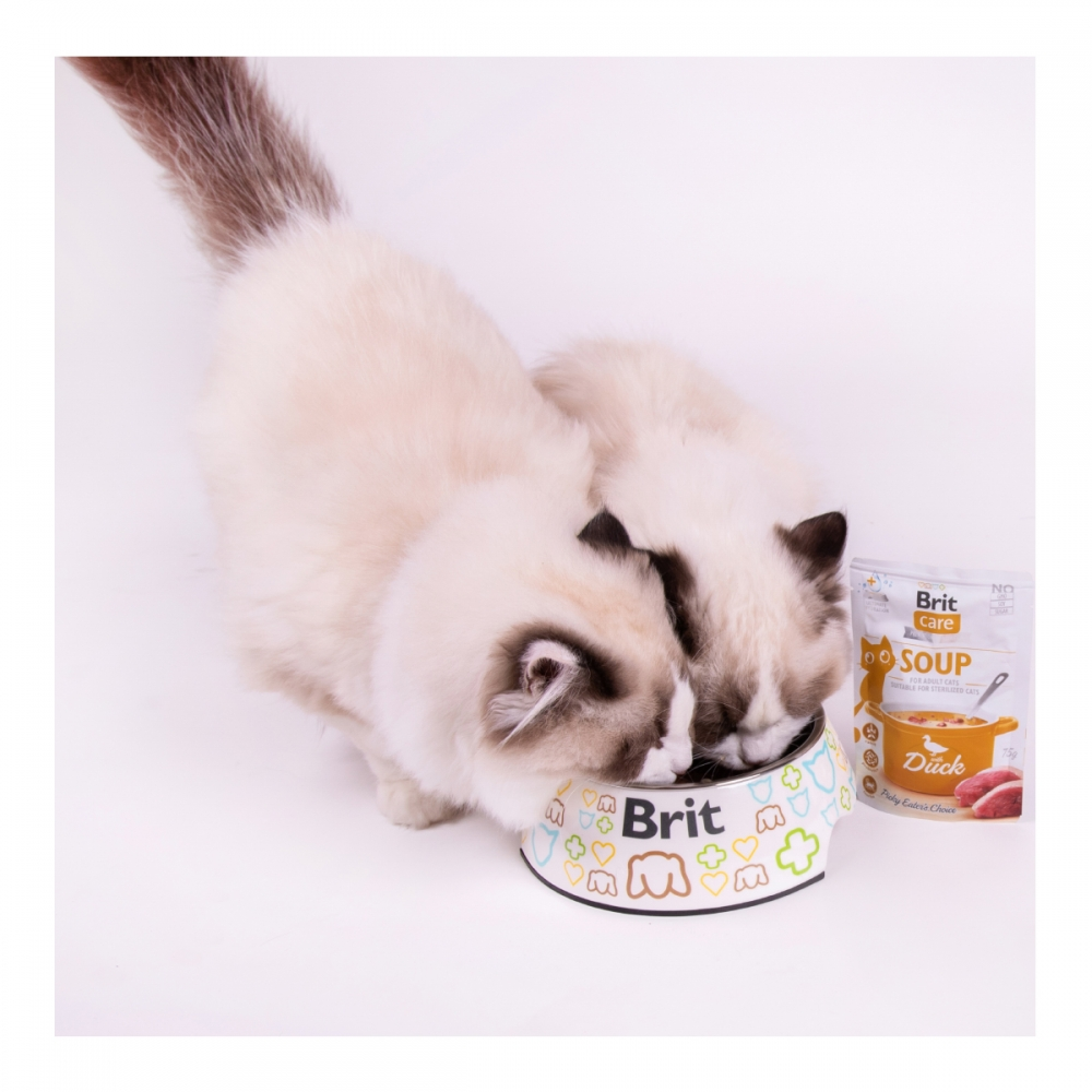 Влажный корм для кошек Brit Care Soup с уткой 75 г - фото 6