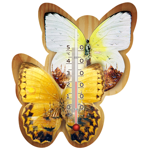 Термометр Склоприлад Сувенір Метелики, в асортименті (300059) - фото 1
