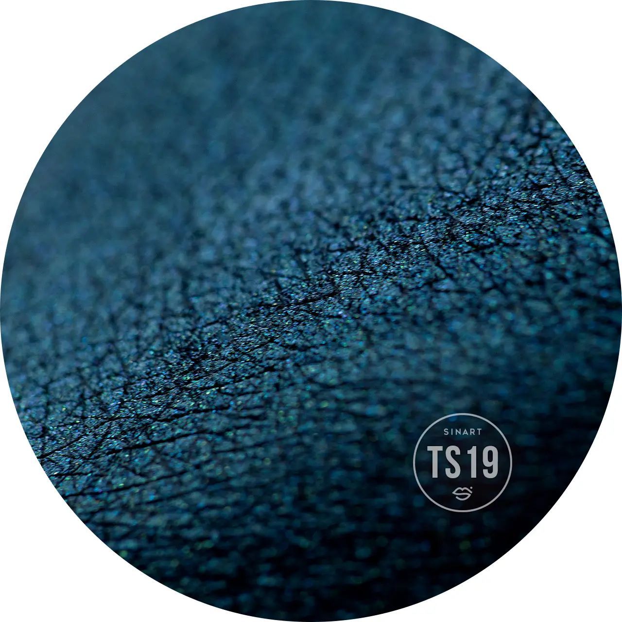 Прессованные тени для век Sinart TS19 Extra Dimension Velor Eyeshadow - фото 2