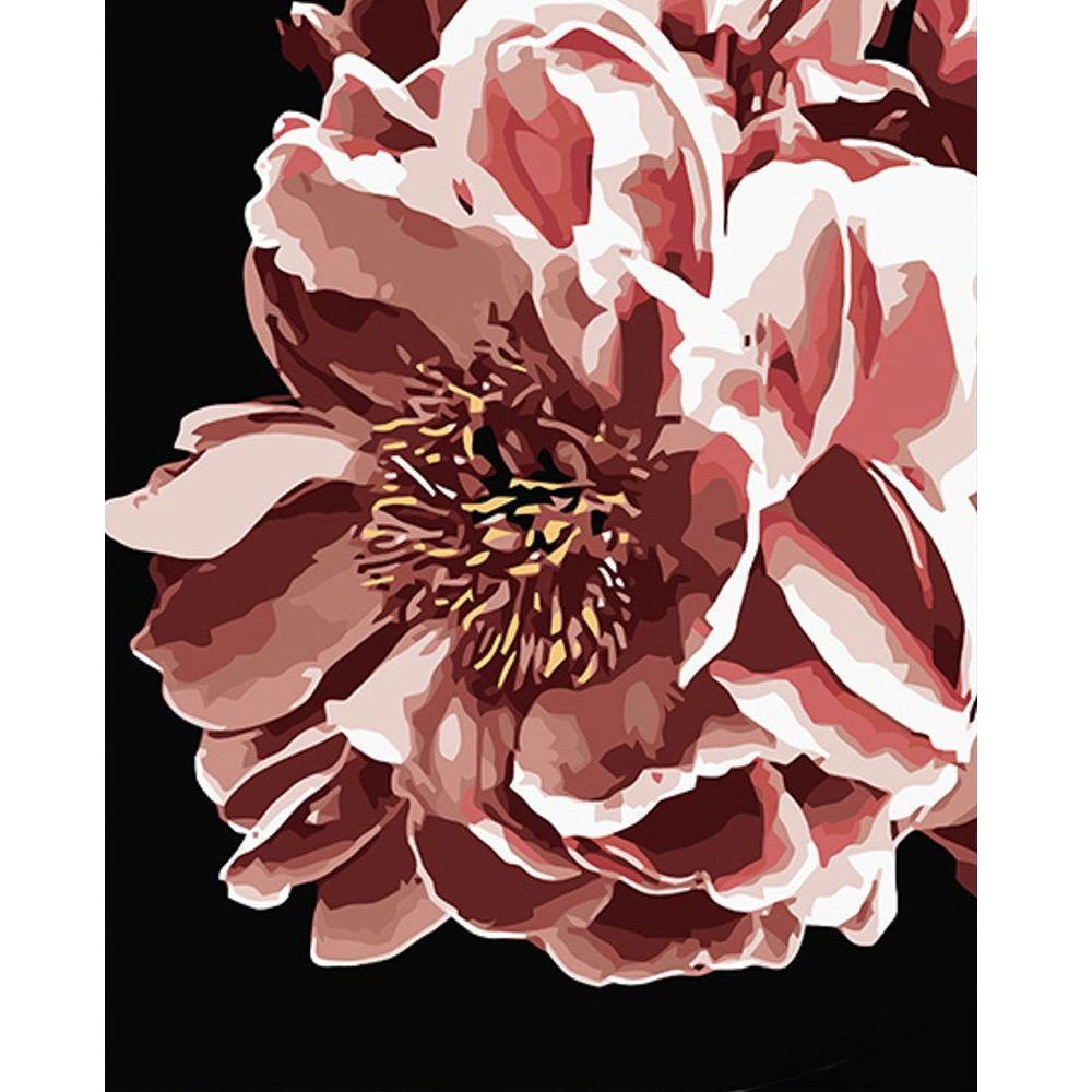 Набір для розпису по номерах Strateg Ніжна квітка на чорному фоні 40х50 см (AH1039) - фото 1