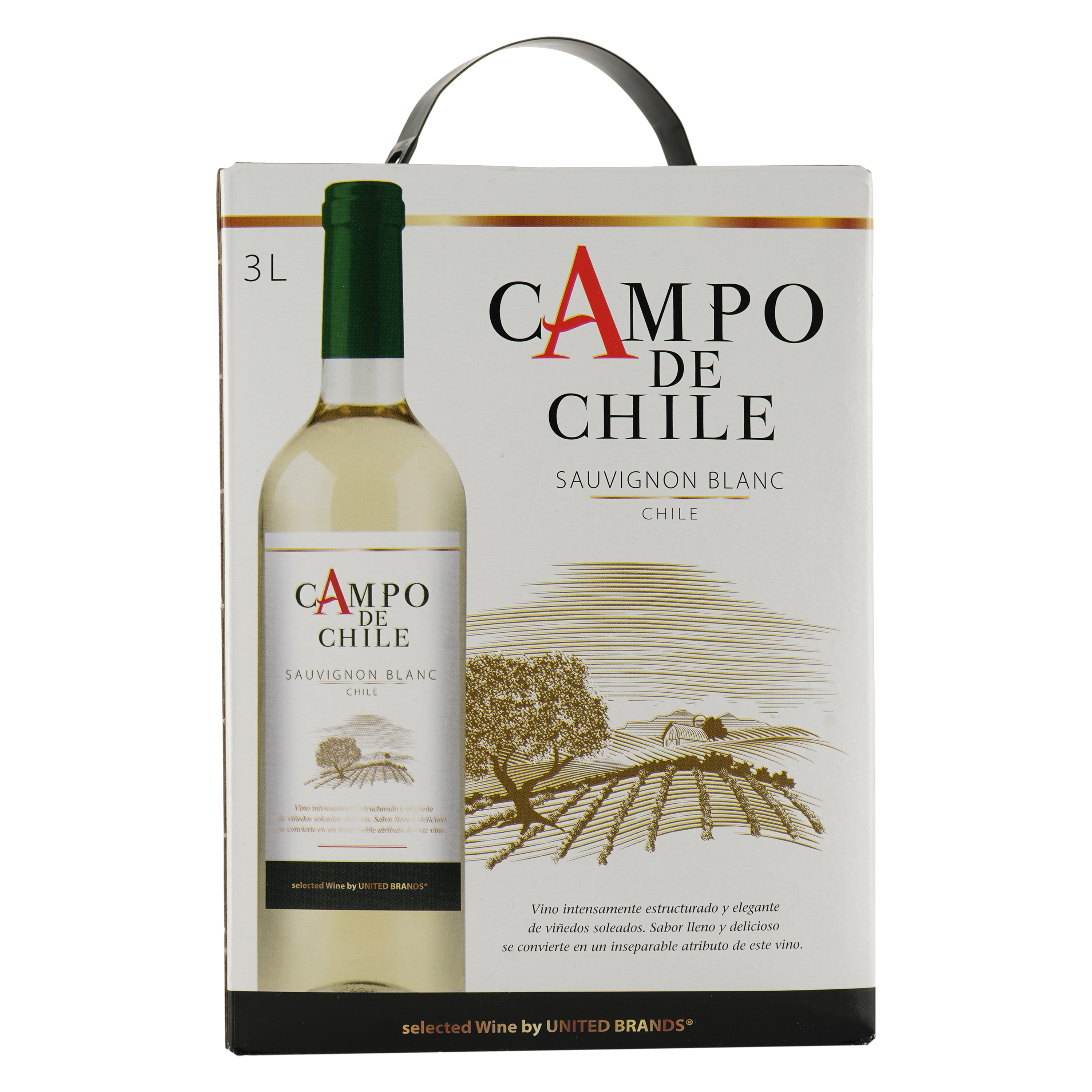 Вино Campo de Chile Sauvignon Blanc Bag-in-box, біле, сухе, 13%, 3 л - фото 1