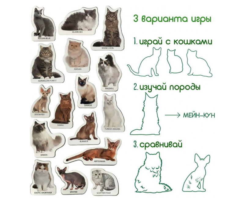 Магнитный набор Magdum Magnetic set Breeds of cats Породы кошек (ML4031-13 EN) - фото 3