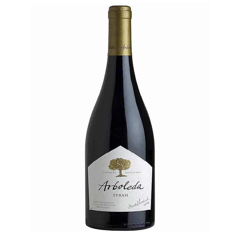 Вино Arboleda Vina Sena And Syrah, червоне, сухе, 13,5%, 0,75 л (8000009377840) - фото 1