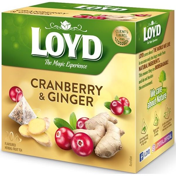 Чай фруктовый Loyd Oyd Cranberry&Ginger, клюква имбирь, в пирамидках, 40 г, 3103566 - фото 4