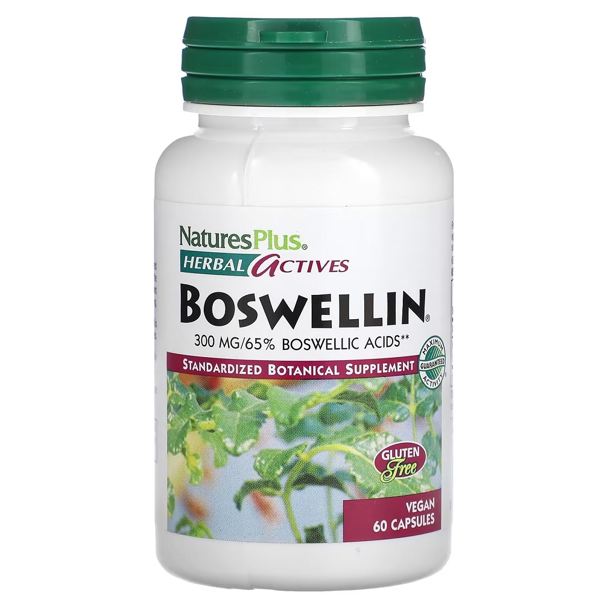 Босвелин Natures Plus Boswellin Herbal Actives 300 мг 60 вегетарианских капсул - фото 1