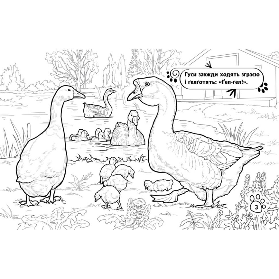 Раскраска детская Видавництво Ранок Животные на ферме 16 страниц (583011) - фото 3