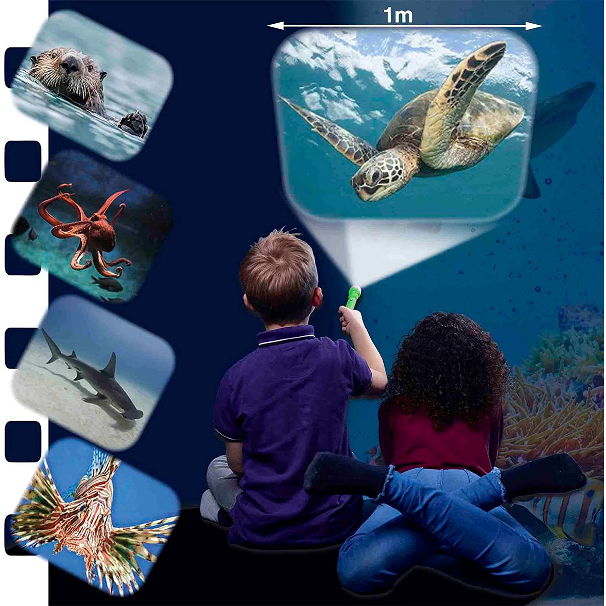 Ліхтарик-проектор Brainstorm Toys Мешканців морів, 3 диски, 24 зображення (N5132) - фото 5