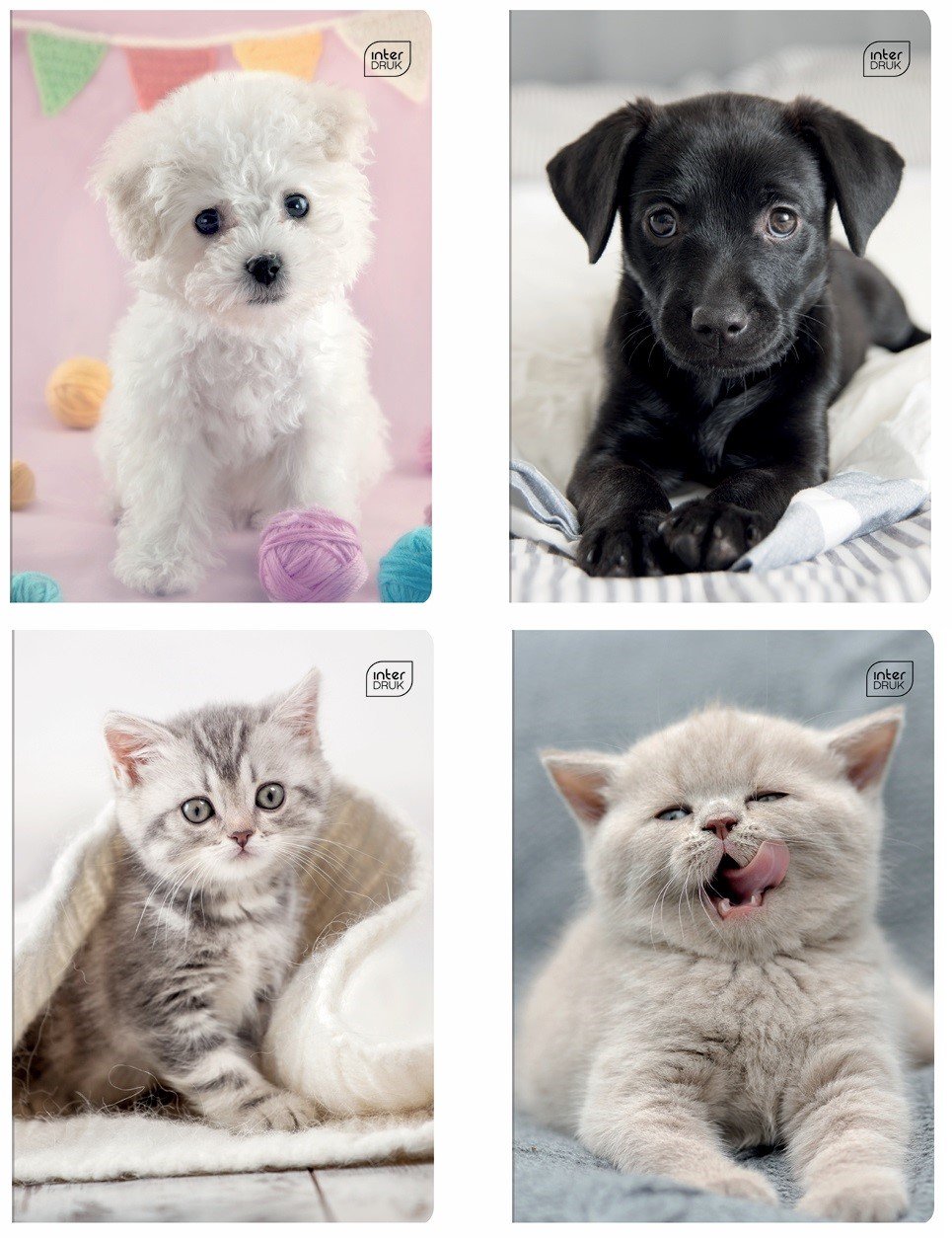 Зошит Interdruk I love pets, клітинка, A5, 12 аркушів, 8 шт. (298553-8) - фото 1