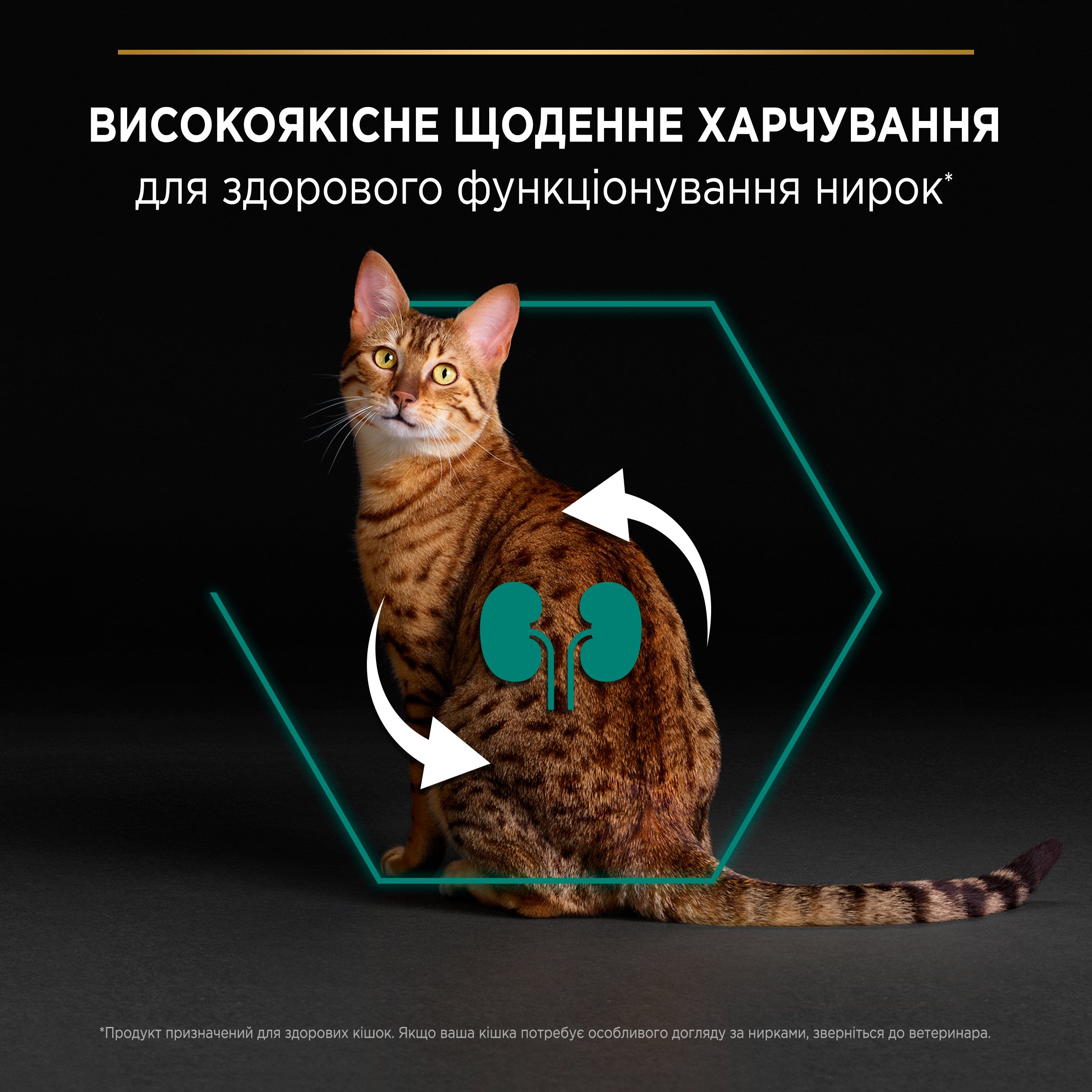 Сухий корм Purina Pro Plan Adult 1+ Renal Plus для дорослих котів з куркою 14 кг - фото 5