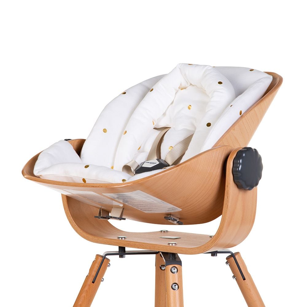 Подушка на сидіння для новонародженого Childhome Evolu (CHEVOSCNBJGD) - фото 2