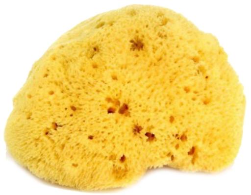 Натуральна губка для ванни OK Baby Honeycomb sea sponge, р.14, жовтий (38471400) - фото 1