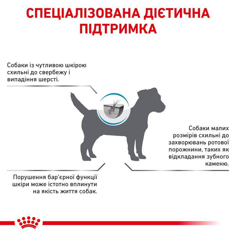 Сухой диетический корм для собак малых пород Royal Canin Skin Care Adult Small Dog при дерматозах и выпадении шерсти, 2 кг (40060201) - фото 6