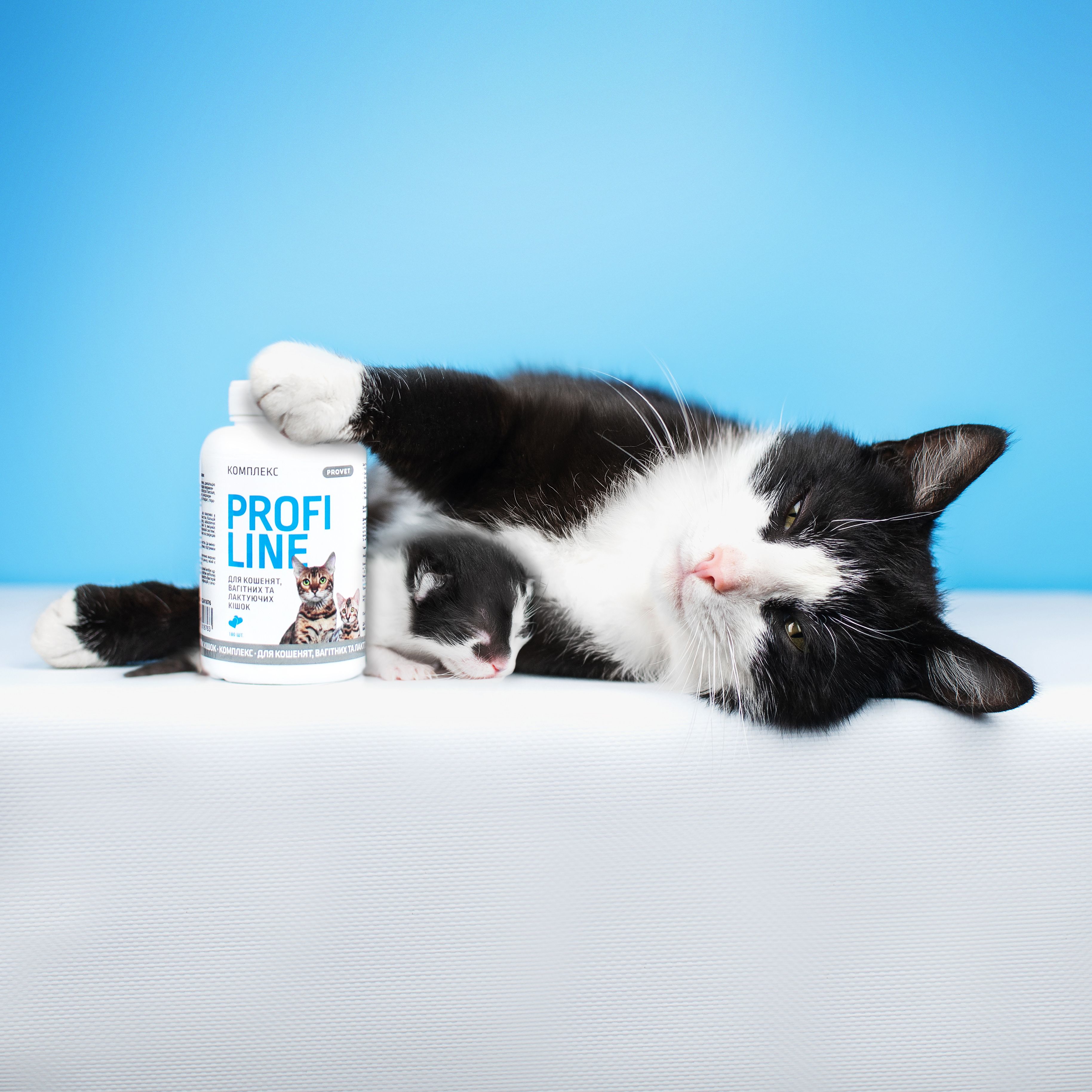 Вітаміни ProVET Profiline Комплекс для кошенят, вагітних та лактуючих кішок 180 таблеток - фото 4